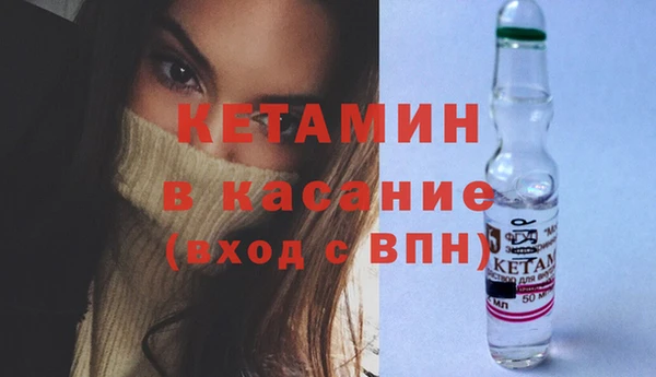 сатива Заволжье