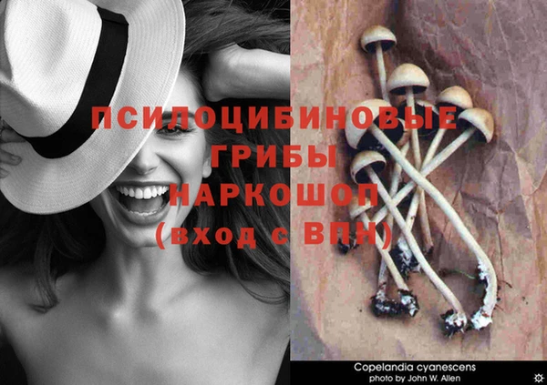 скорость Заволжск