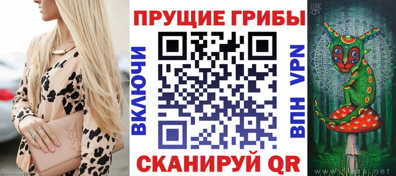 Псилоцибиновые грибы MAGIC MUSHROOMS  где продают наркотики  Зея 
